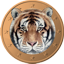 Tigercoin (TGC) Difficulty Chart